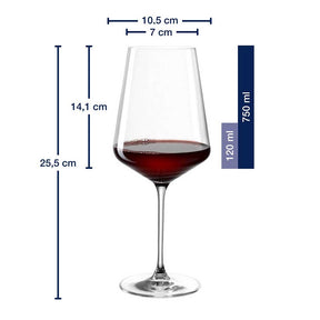 Massangaben zu Weinset XL PUCCINI mit gefülltem Weinglas