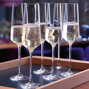 Sektglas PUCCINI 280 ml 6er-Set mit Sekt gefüllt auf Holztablett
