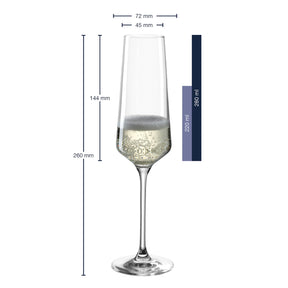 Sektglas PUCCINI mit Champagner gefüllt, Massangaben und Verpackung