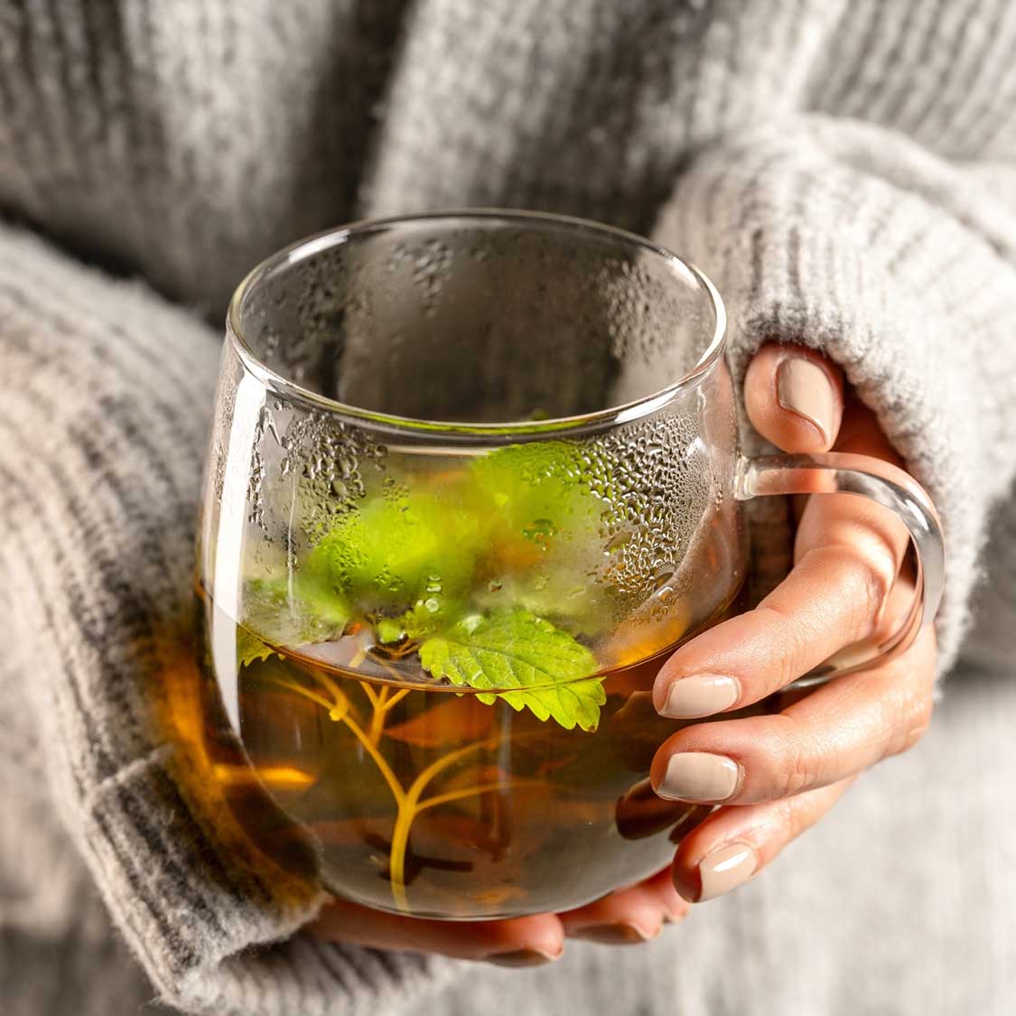 Teetasse mit Minze und Tee, in Hand gehalten, Wollpullover