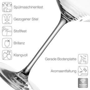 Rotweinglas PUCCINI mit Produkteigenschaften und Pflegeanleitung